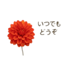 お花で ひとこと（個別スタンプ：15）