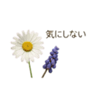 お花で ひとこと（個別スタンプ：16）