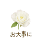 お花で ひとこと（個別スタンプ：21）