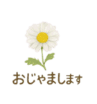 お花で ひとこと（個別スタンプ：22）