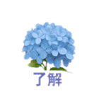 お花で ひとこと（個別スタンプ：24）