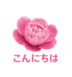 お花で ひとこと（個別スタンプ：25）
