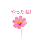 お花で ひとこと（個別スタンプ：27）