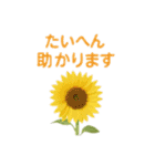 お花で ひとこと（個別スタンプ：34）