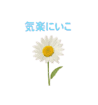 お花で ひとこと（個別スタンプ：35）