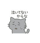 ひねくれネコのシャーくん2（個別スタンプ：14）