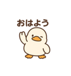 使いやすいもちもちアヒルスタンプ（個別スタンプ：4）