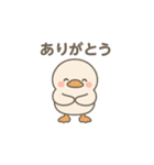 使いやすいもちもちアヒルスタンプ（個別スタンプ：10）