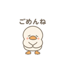 使いやすいもちもちアヒルスタンプ（個別スタンプ：11）