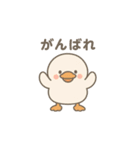 使いやすいもちもちアヒルスタンプ（個別スタンプ：12）
