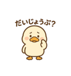 使いやすいもちもちアヒルスタンプ（個別スタンプ：19）