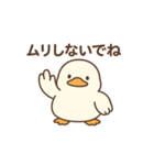 使いやすいもちもちアヒルスタンプ（個別スタンプ：20）