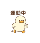 使いやすいもちもちアヒルスタンプ（個別スタンプ：21）