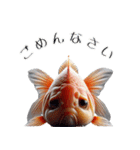 3Dリアル金魚！敬語でこんにちは（個別スタンプ：9）