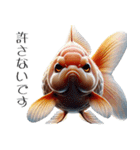 3Dリアル金魚！敬語でこんにちは（個別スタンプ：35）