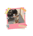 ゆずはさん④（個別スタンプ：40）