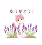 母の日・父の日の感謝のありがとうのねこ（個別スタンプ：9）