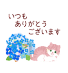 母の日・父の日の感謝のありがとうのねこ（個別スタンプ：19）
