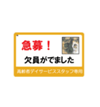 高齢者DSスタッフ用スタンプ・ネコと一緒Ⅱ（個別スタンプ：3）