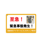 高齢者DSスタッフ用スタンプ・ネコと一緒Ⅱ（個別スタンプ：4）