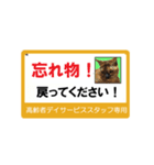 高齢者DSスタッフ用スタンプ・ネコと一緒Ⅱ（個別スタンプ：6）