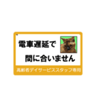 高齢者DSスタッフ用スタンプ・ネコと一緒Ⅱ（個別スタンプ：21）