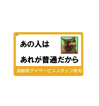 高齢者DSスタッフ用スタンプ・ネコと一緒Ⅱ（個別スタンプ：22）