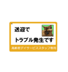 高齢者DSスタッフ用スタンプ・ネコと一緒Ⅱ（個別スタンプ：23）
