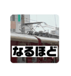 パンタグラフのスタンプ（個別スタンプ：24）
