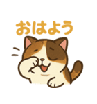 可愛い三毛猫のモフ子（個別スタンプ：1）