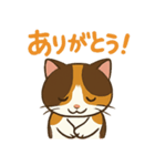 可愛い三毛猫のモフ子（個別スタンプ：2）