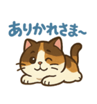 可愛い三毛猫のモフ子（個別スタンプ：3）
