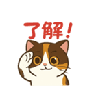 可愛い三毛猫のモフ子（個別スタンプ：6）