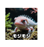 ごきげんウーパくん（個別スタンプ：19）