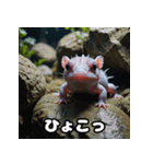 ごきげんウーパくん（個別スタンプ：29）