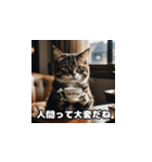 やさしい猫スタンプ（個別スタンプ：5）