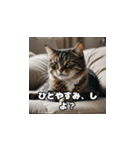 やさしい猫スタンプ（個別スタンプ：8）