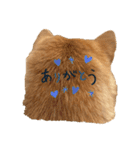 SHIBA INU ちゃん（個別スタンプ：5）