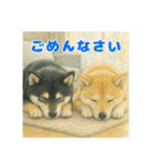 黒柴わさび ・ そっくりイラストのスタンプ（個別スタンプ：3）