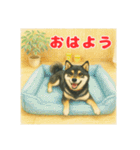 黒柴わさび ・ そっくりイラストのスタンプ（個別スタンプ：13）