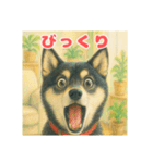黒柴わさび ・ そっくりイラストのスタンプ（個別スタンプ：25）
