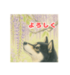 黒柴わさび ・ そっくりイラストのスタンプ（個別スタンプ：27）
