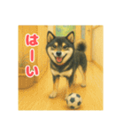 黒柴わさび ・ そっくりイラストのスタンプ（個別スタンプ：28）