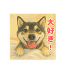 黒柴わさび ・ そっくりイラストのスタンプ（個別スタンプ：31）