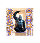 【ヨガが大好きな】〜ゴリラさん〜（個別スタンプ：4）