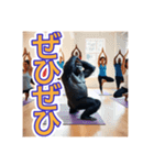 【ヨガが大好きな】〜ゴリラさん〜（個別スタンプ：21）