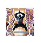【ヨガが大好きな】〜ゴリラさん〜（個別スタンプ：23）
