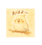 ゆるふわオカメインコ（個別スタンプ：1）