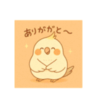 ゆるふわオカメインコ（個別スタンプ：3）