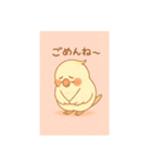 ゆるふわオカメインコ（個別スタンプ：4）